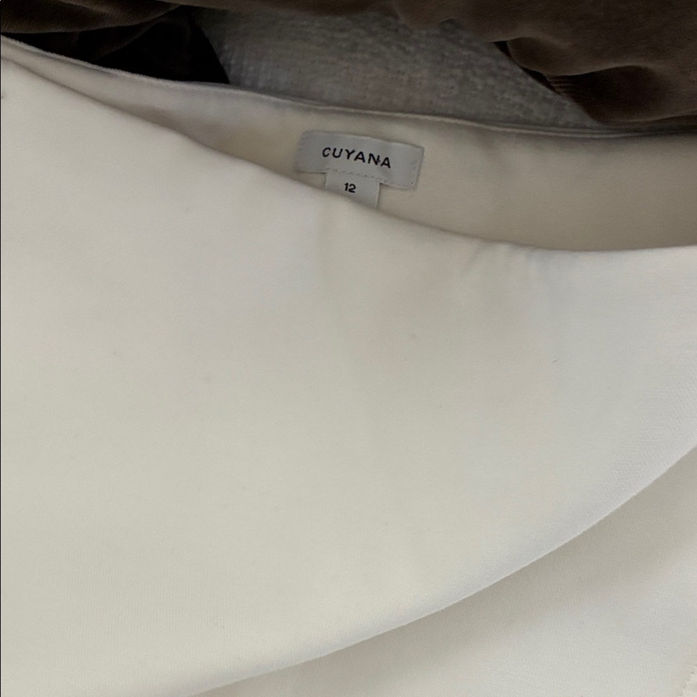 Cuyana Pencil Skirt - Picture 3 of 8